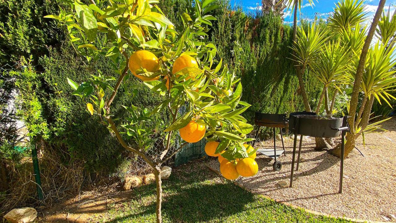 Villa El Palmar II Denia Kültér fotó